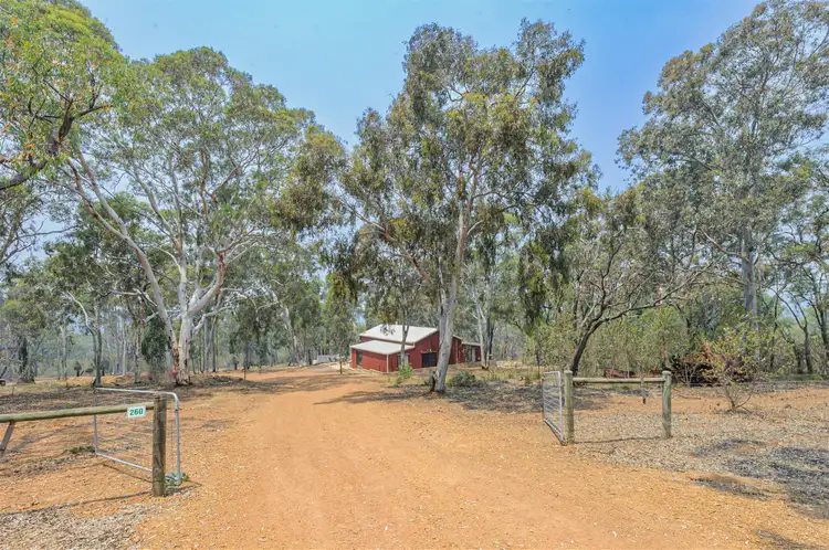 Main view of Homely house listing, 260 Almond Avenue, Bakers Hill WA 6562