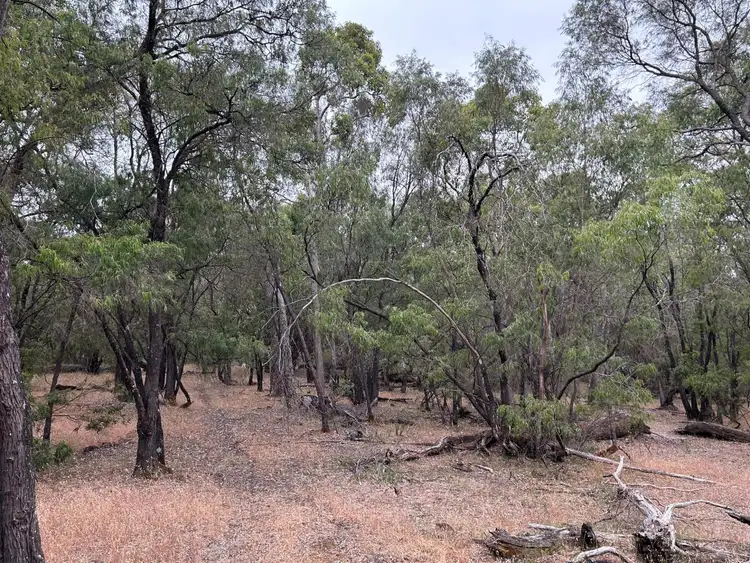 Sixth view of Homely rural property listing, Lot 4 Moore Road, Dardanup West WA 6236