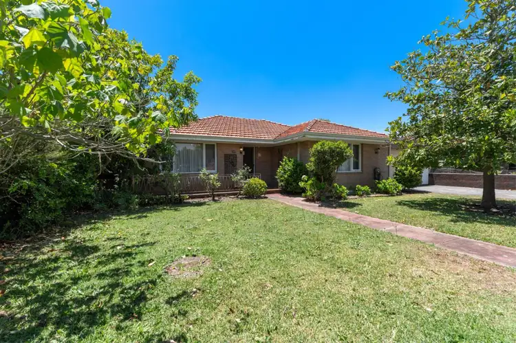 Main view of Homely house listing, 111 Morley Drive, Nollamara WA 6061