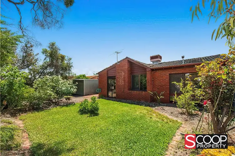 33 Tremandra Way