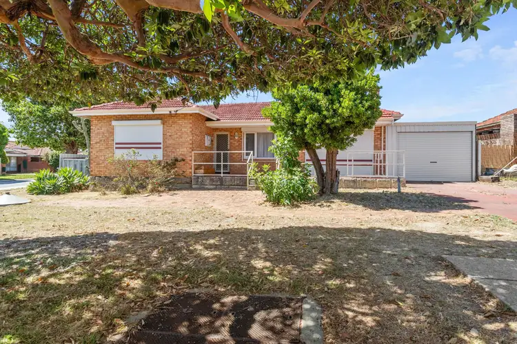 Main view of Homely house listing, 41 Harrison Street, Balcatta WA 6021