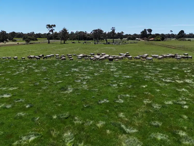 Seventh view of Homely rural property listing, 419 Vasse-Yallingup Siding Road, Marybrook WA 6280
