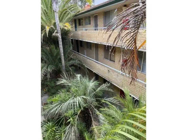 15/5 Kathleen Avenue