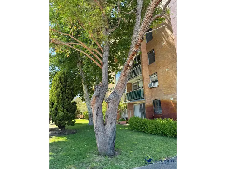 Main view of Homely house listing, 2/409 Cambridge Street, Wembley WA 6014