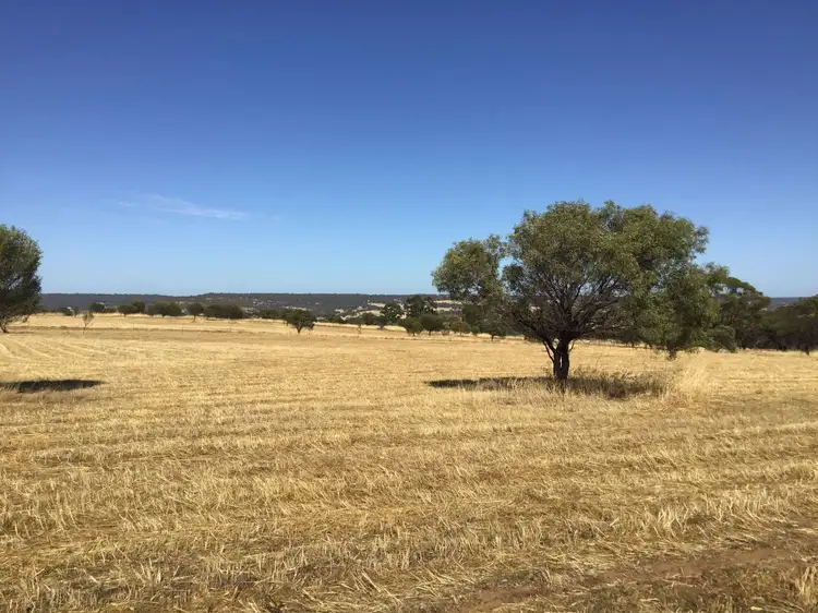 133 Balgaling, Toodyay WA 6566