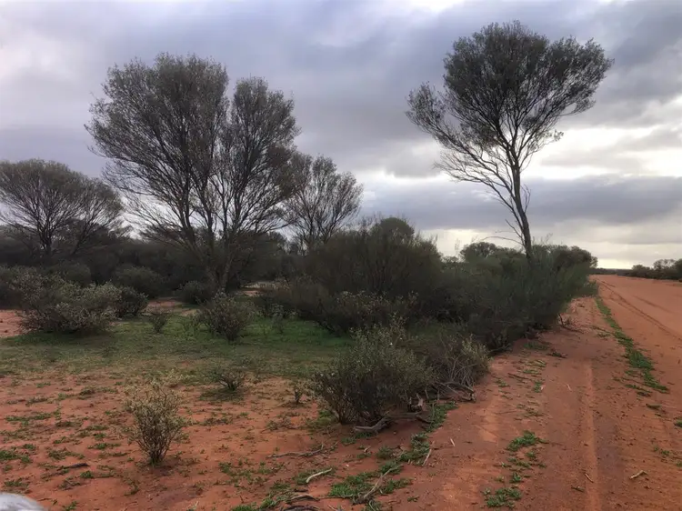 Second view of Homely rural property listing, Mount Farmer Station, Mount Magnet WA 6638