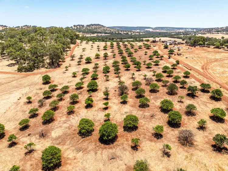 Sixth view of Homely land listing, 6262 Great Northern Highway, Bindoon WA 6502