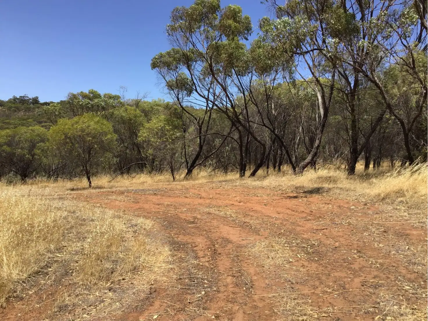 Main view of Homely land listing, 43 Timber Creek Crescent, Toodyay WA 6566