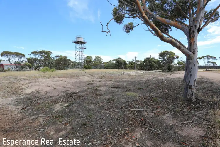 Fifth view of Homely land listing, 1 Freeman Street, Grass Patch WA 6446