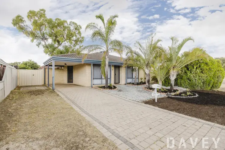 Second view of Homely house listing, 11 Mangrove Cct, Banksia Grove WA 6031