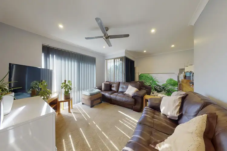 56 Conidae Drive