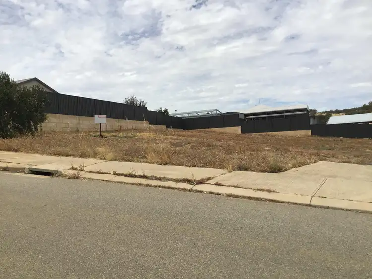 4 Rayner Loop