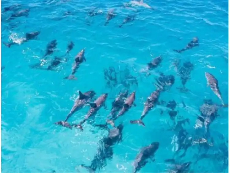 Sixth view of Homely land listing, 2 Margaret Street, Bremer Bay WA 6338