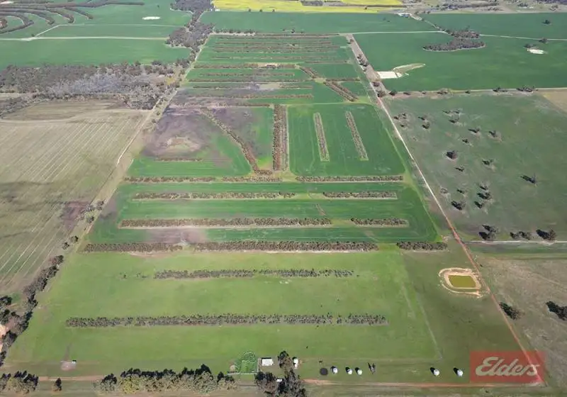 Main view of Homely rural property listing, 180 Simmons  Road, Narrogin Valley WA 6312