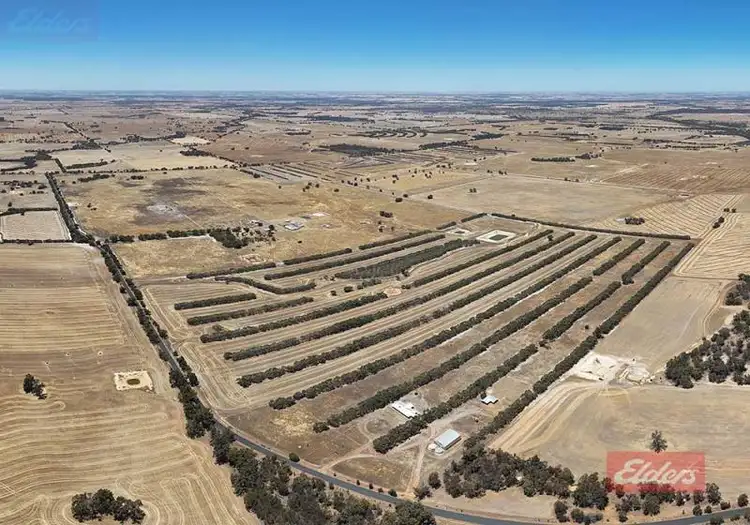 Second view of Homely rural property listing, 180 Simmons  Road, Narrogin Valley WA 6312