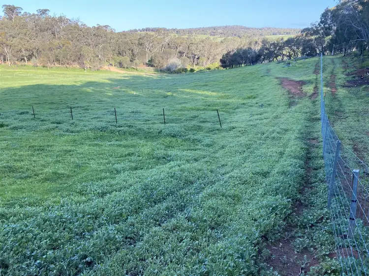 Seventh view of Homely rural property listing, 29 Refractory Road, Clackline WA 6564