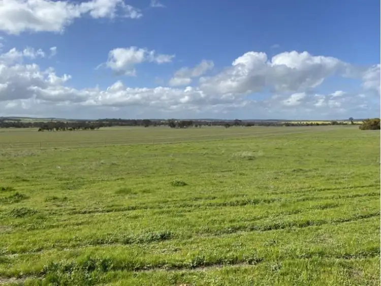 Main view of Homely rural property listing, 361 Gaths Road, Townsendale WA 6311