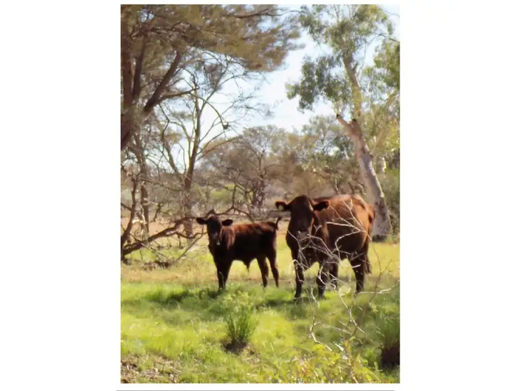 Second view of Homely rural property listing, Yoothapina Station, Meekatharra WA 6642