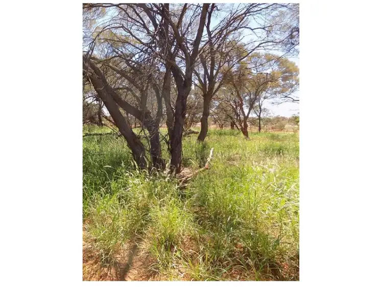 Third view of Homely rural property listing, Yoothapina Station, Meekatharra WA 6642