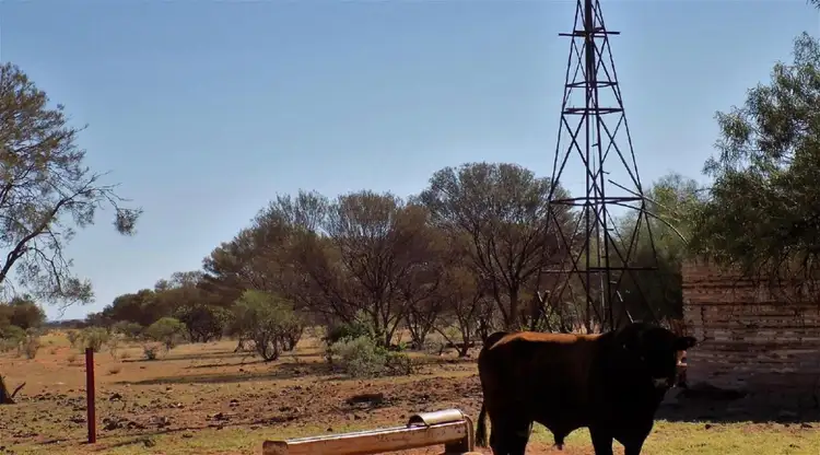 Fourth view of Homely rural property listing, Yoothapina Station, Meekatharra WA 6642