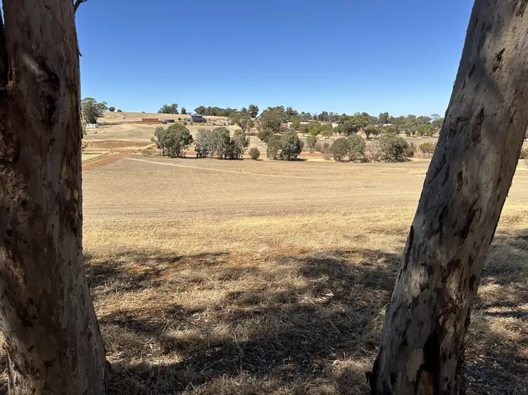 Main view of Homely land listing, 138 McDonald Road, Woodanilling WA 6316