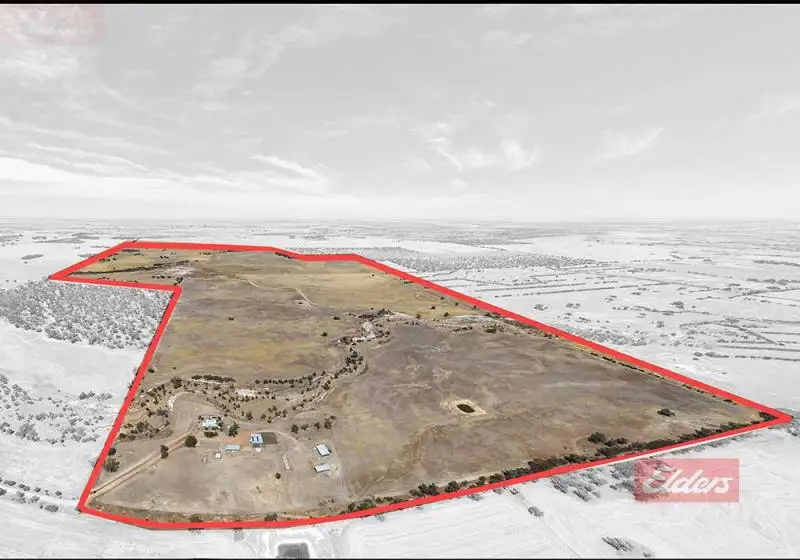 Main view of Homely rural property listing, 67 Calcoran Road, Popanyinning WA 6309