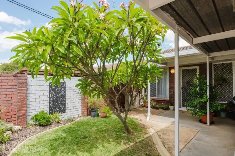 Main view of Homely townhouse listing, 3B Jackson Street, Waroona WA 6215