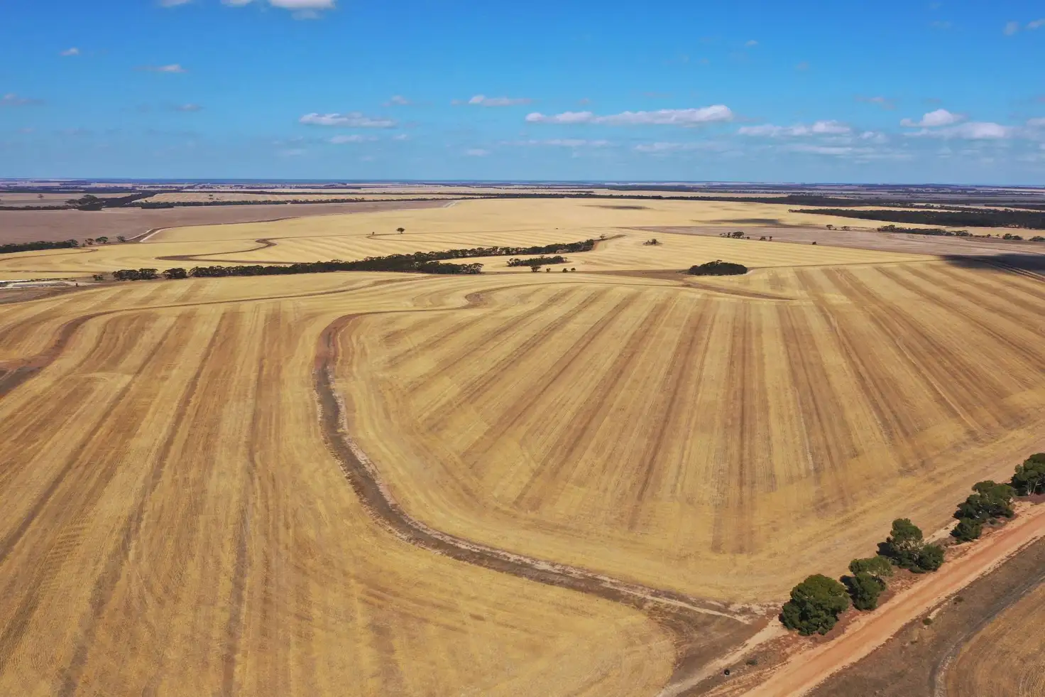 Main view of Homely land listing, 669 Neve Road, Pingrup WA 6343