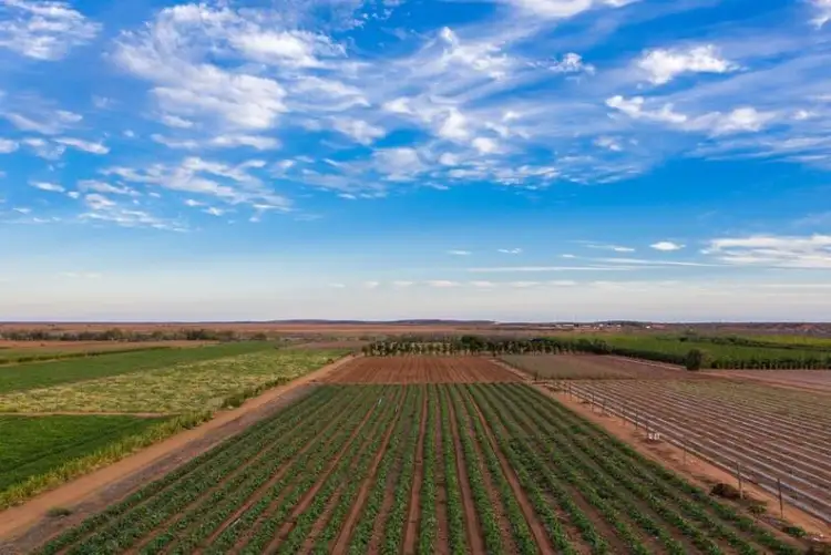 Main view of Homely rural property listing, 124 South River Road, Carnarvon WA 6701
