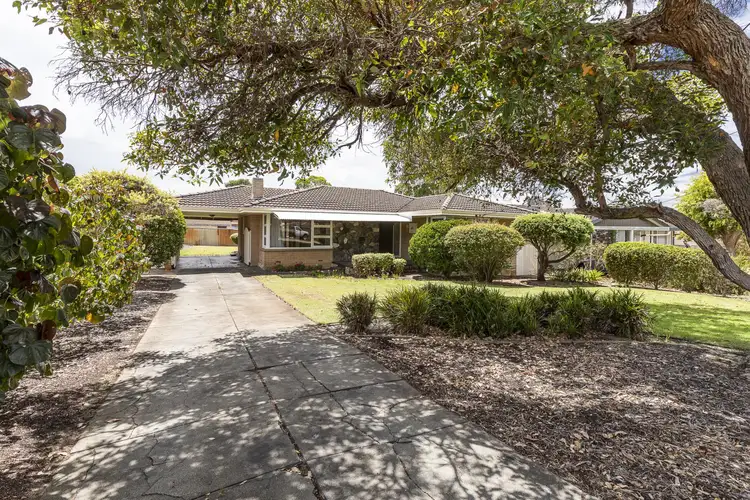Main view of Homely house listing, 45 Gifford Way, Dianella WA 6059