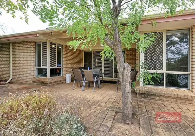 Main view of Homely house listing, 47B Argus Street, Narrogin WA 6312