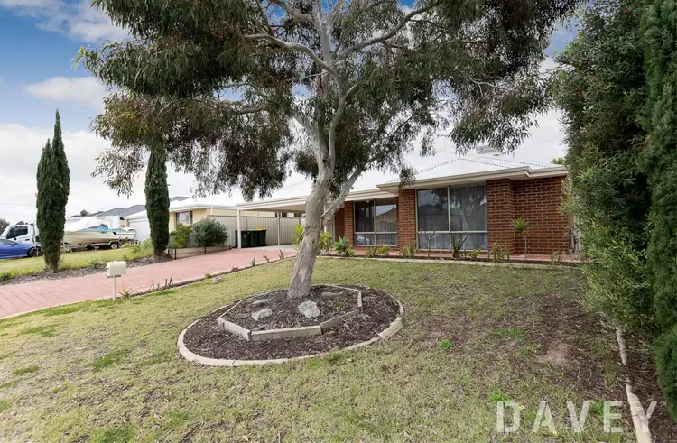 Fourth view of Homely house listing, 7 Watkins Loop, Tapping WA 6065