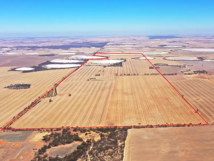 Second view of Homely rural property listing, 1053 Burns Road, Lake Grace WA 6353