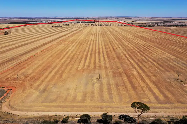 Third view of Homely rural property listing, 1053 Burns Road, Lake Grace WA 6353