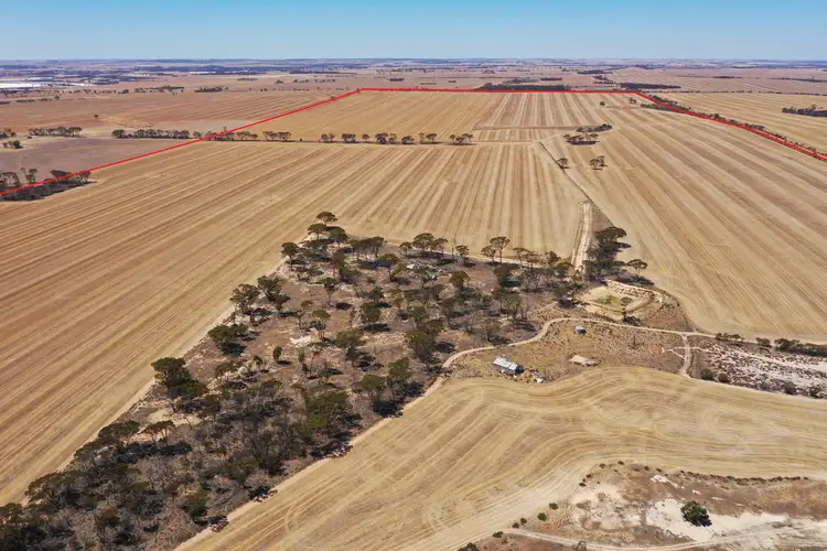Fourth view of Homely rural property listing, 1053 Burns Road, Lake Grace WA 6353