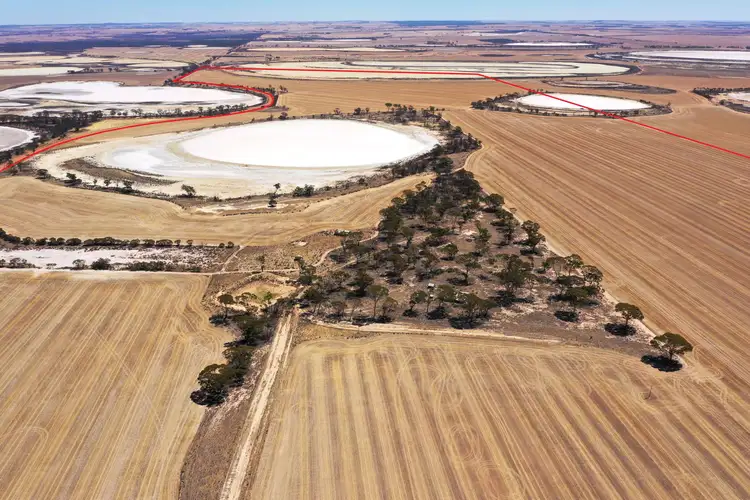Fifth view of Homely rural property listing, 1053 Burns Road, Lake Grace WA 6353