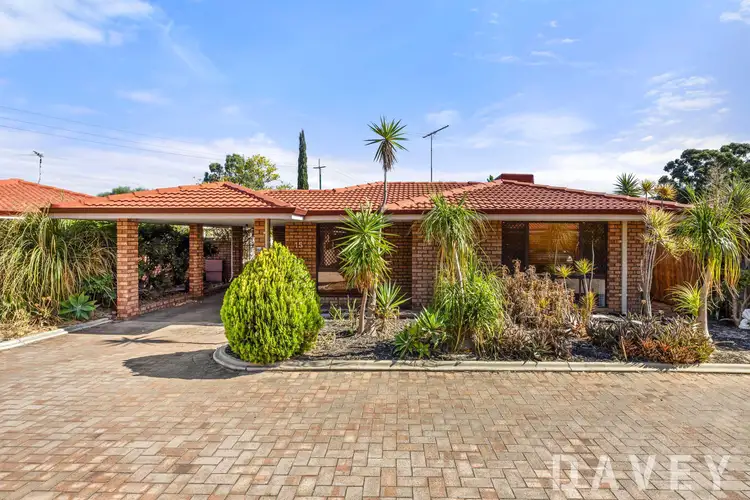 15/54 Hertha Road, Innaloo WA 6018