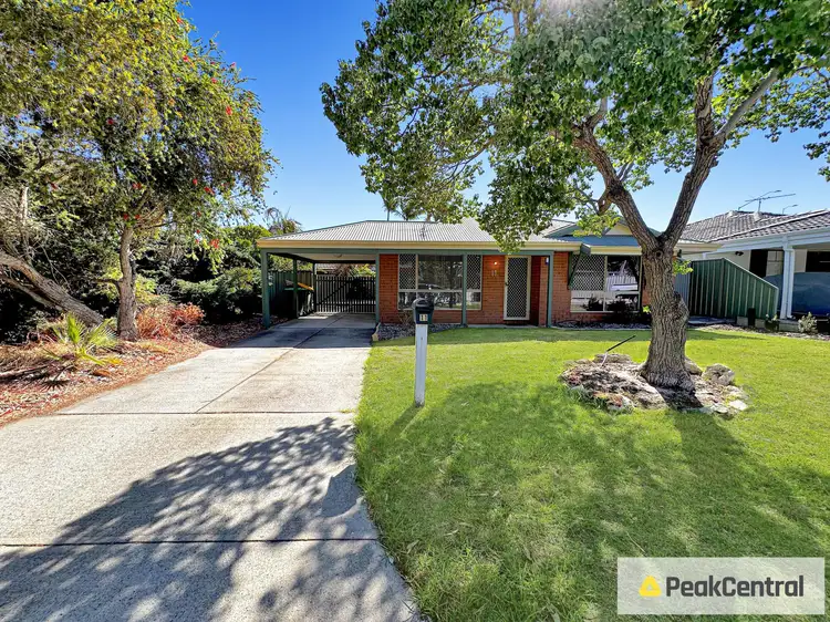 11 Tylee Cove, Atwell WA 6164