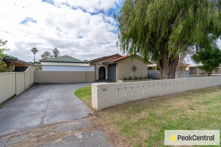 14 Lynx Place, Rockingham WA 6168
