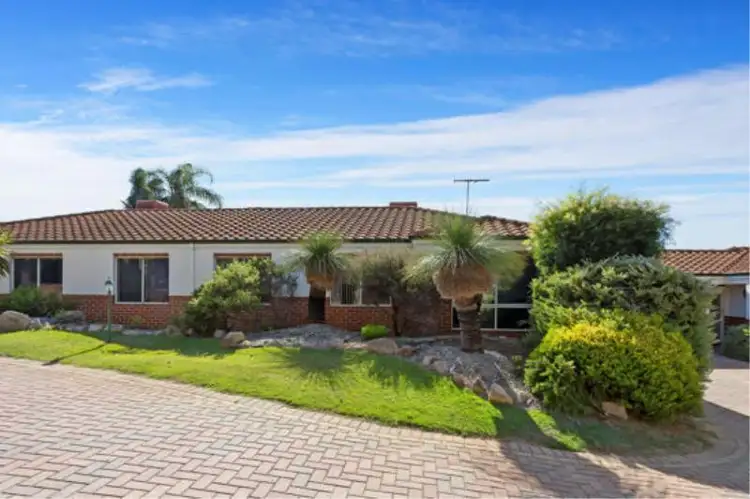 Main view of Homely villa listing, 3/16 Ritz Court, Bibra Lake WA 6163