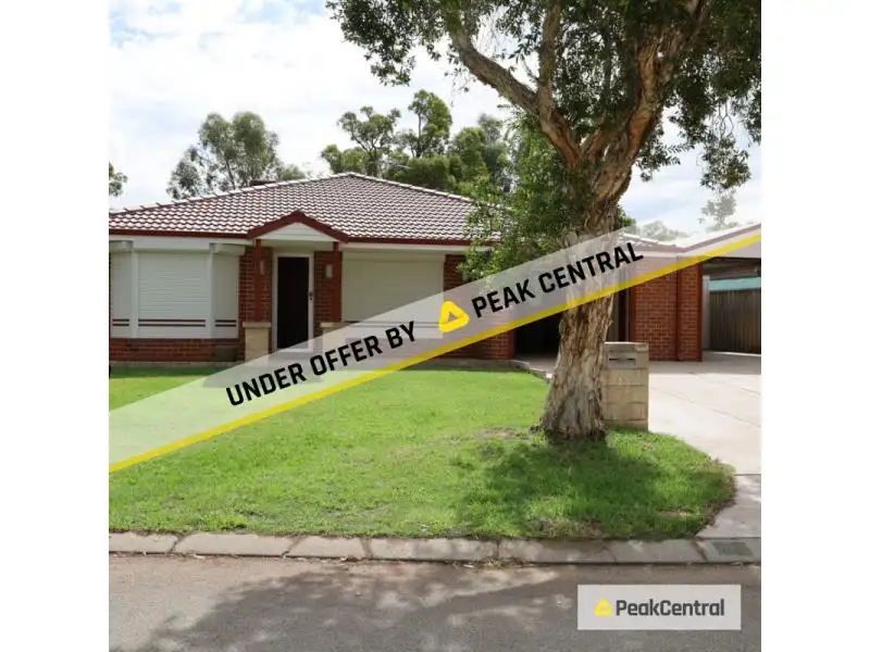 Main view of Homely house listing, 13 Fabales Close, Beeliar WA 6164