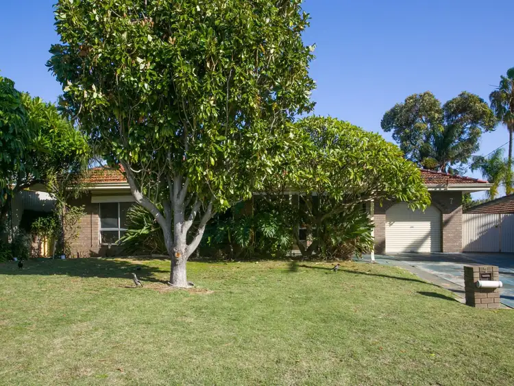 Main view of Homely house listing, 7 Notley Court, Samson WA 6163