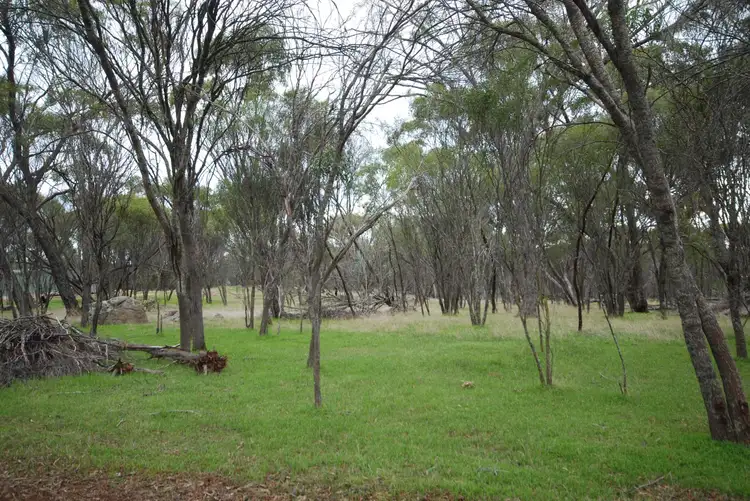 Lot 136 Brundell Street, Cuballing WA 6311