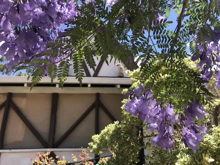 Seventh view of Homely house listing, 22 Quartz Street, Pingelly WA 6308
