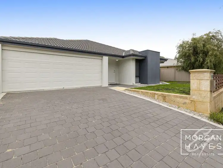 Main view of Homely house listing, 12 Palomino Parade, Baldivis WA 6171