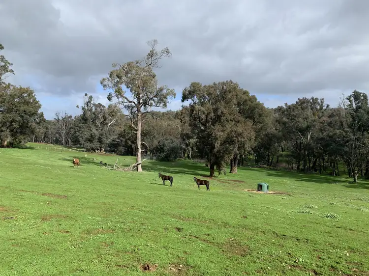 527 Greenbushes-Boyup Brook Road, Greenbushes WA 6254