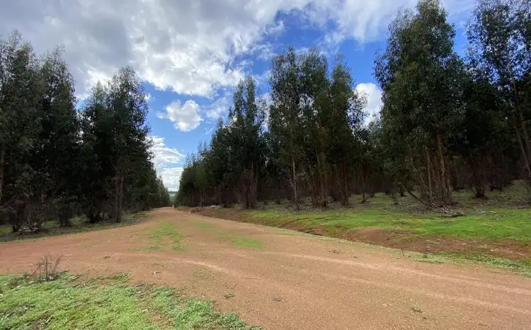 Third view of Homely rural property listing, Lots 2682,4187,4188,4158,4161 Butle, Bridgetown WA 6255