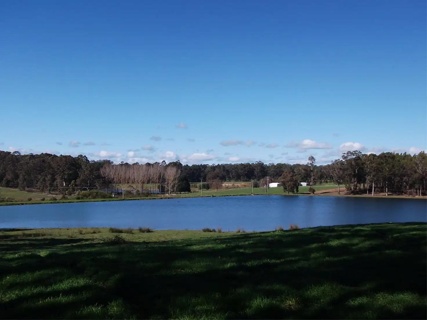 Main view of Homely rural property listing, 696 Graphite Road, Manjimup WA 6258