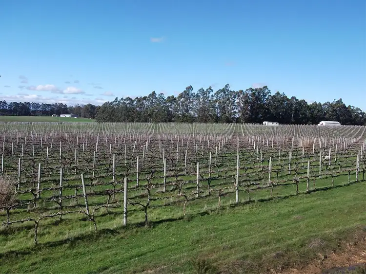 Second view of Homely rural property listing, 696 Graphite Road, Manjimup WA 6258