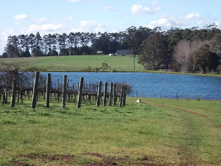 Third view of Homely rural property listing, 696 Graphite Road, Manjimup WA 6258